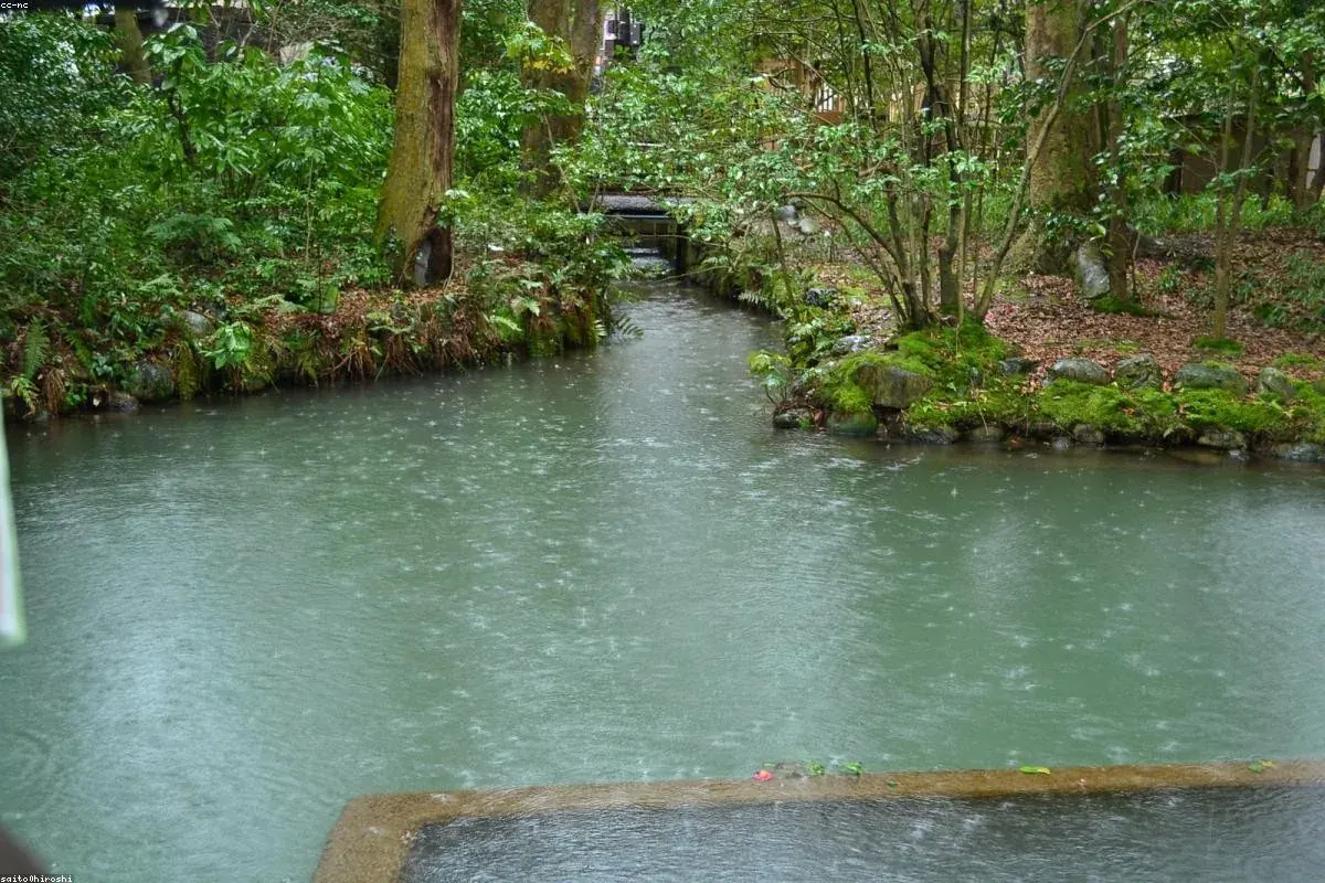 Still pond and mossy stones in a Japanese garden