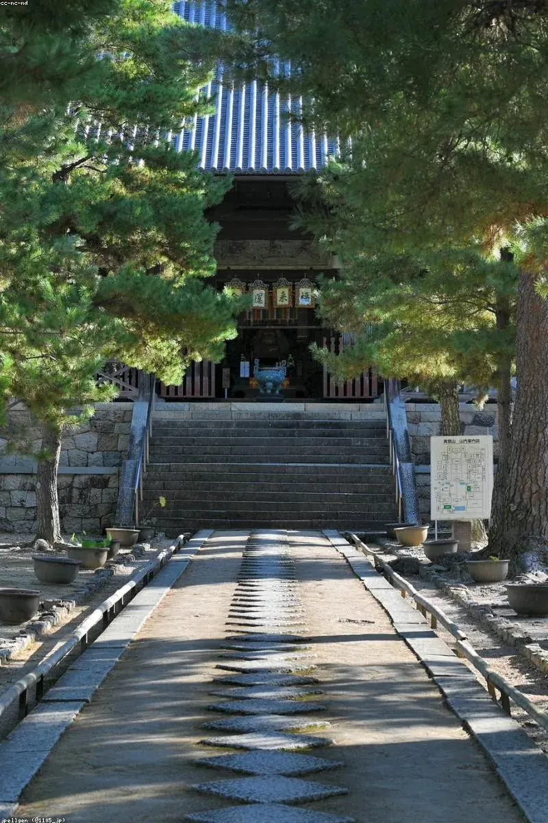 Stone-paved approach to a temple shaded by tall trees