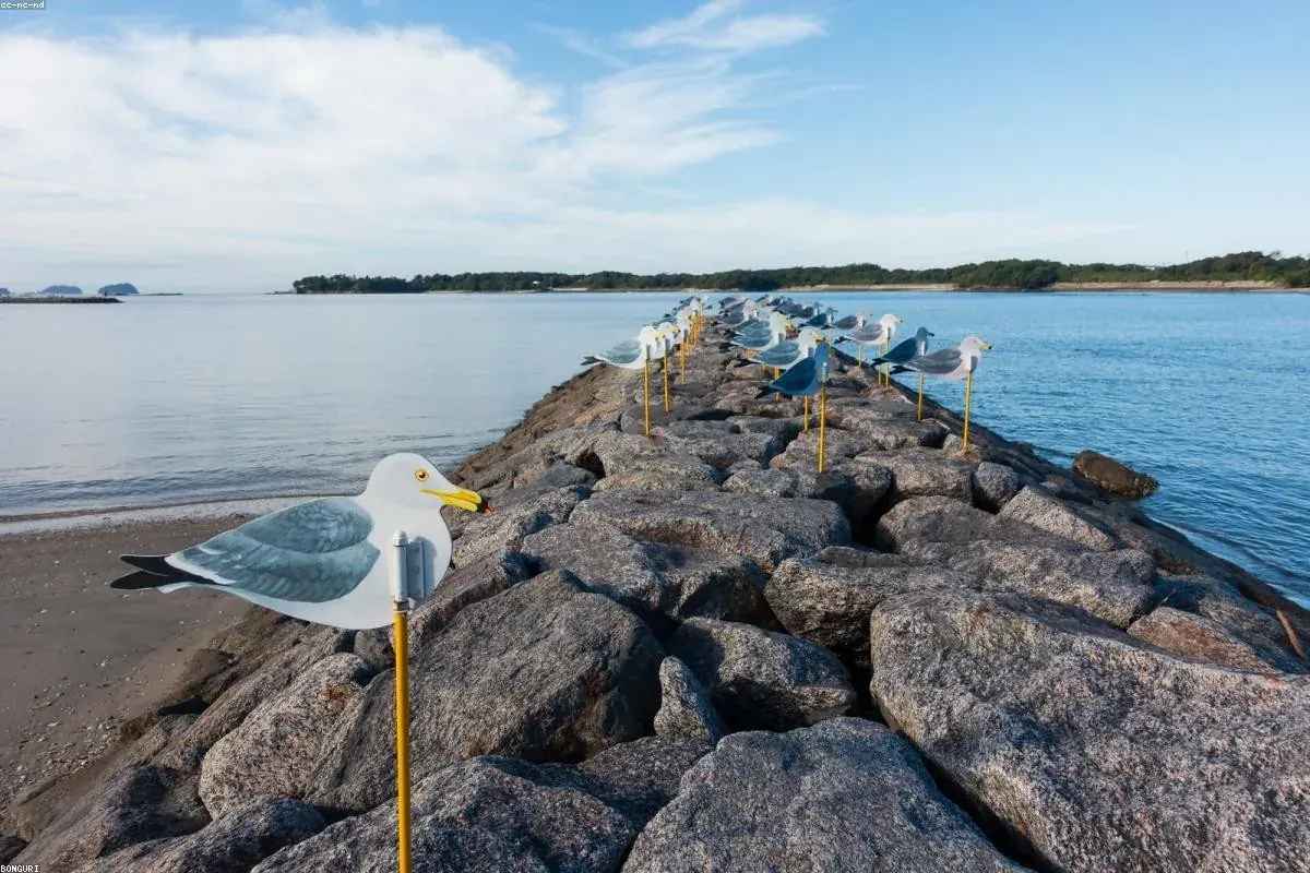 Stone breakwater reaching into a calm bay